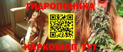 не бодяженный Камышлов