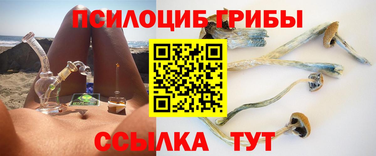 Благовещенск  Псилоцибиновые грибы мухоморы  Вход с VPN  Псилоцибиновые грибы мицелий 